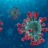 Coronavirus: un nuevo caso surge de 43 testeos en Mercedes
