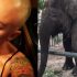 La cruzada de Daniela Cardone para rescatar a la elefanta del zoológico de Luján
