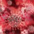 Coronavirus en Luján: se registraron 14 nuevos casos positivos